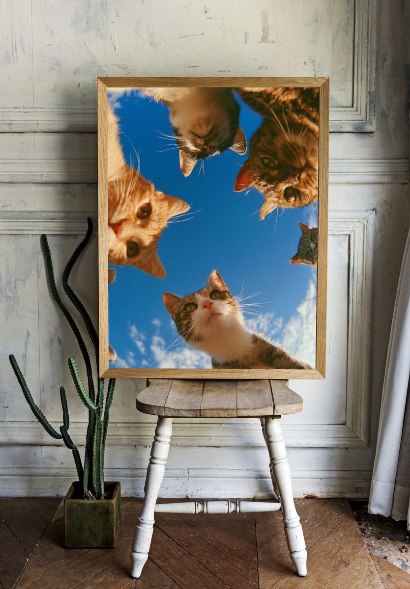 Curious Cats Under Blue Sky Poster. room preview