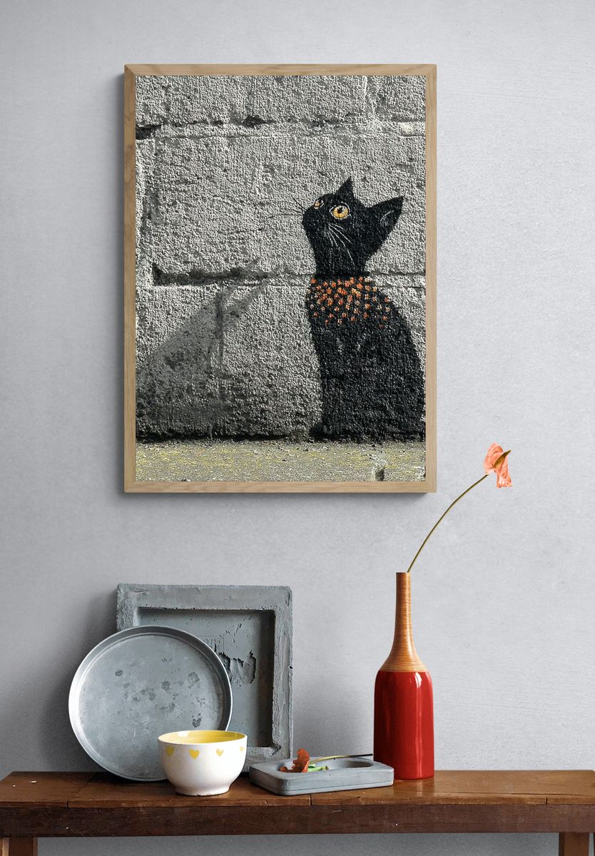 Black Cat with Orange Spots — Street Art Print. — room view 3
