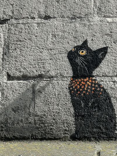 Black Cat with Orange Spots — Street Art Print. poster print