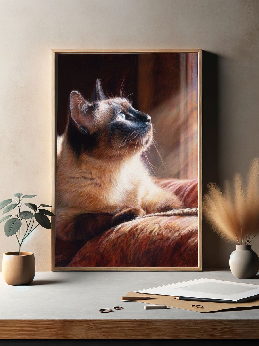 Siamese Cat Sunlit Portrait Print. — room view 2