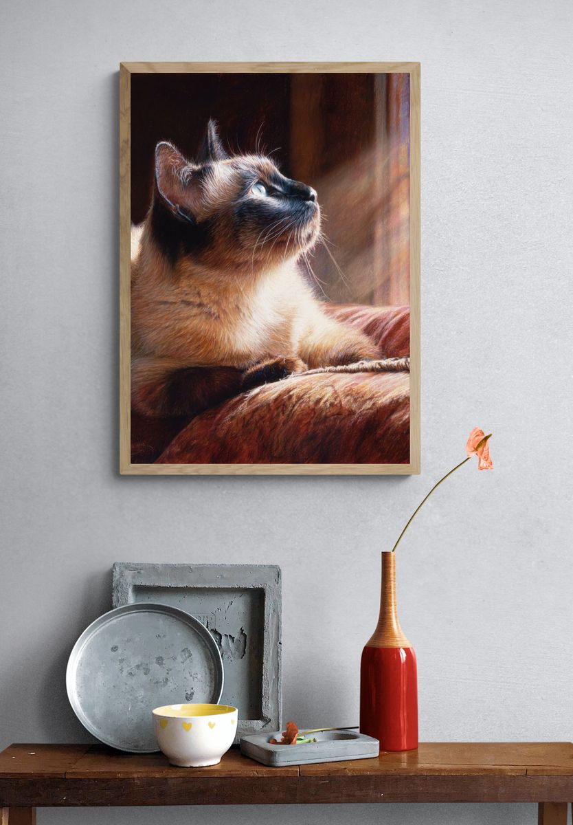 Siamese Cat Sunlit Portrait Print. — room view 3