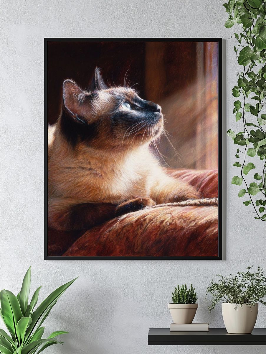 Siamese Cat Sunlit Portrait Print. — room view 4