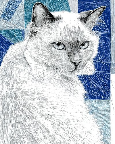 Cat Portrait — Line Art Print. poster print