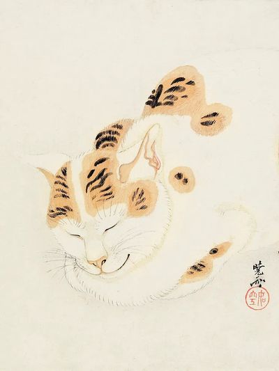 Sleeping Cat Ink Illustration Poster. poster print