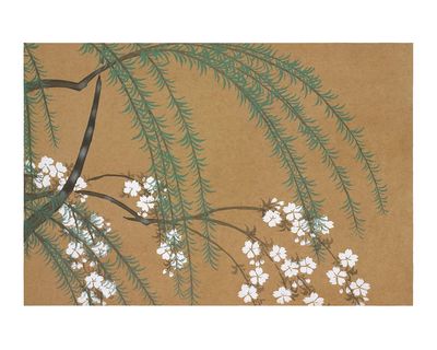 Cherry Blossom Branches — Botanical Print. poster