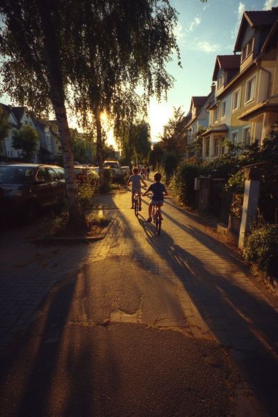 Children Riding Bikes at Sunset Poster. poster print