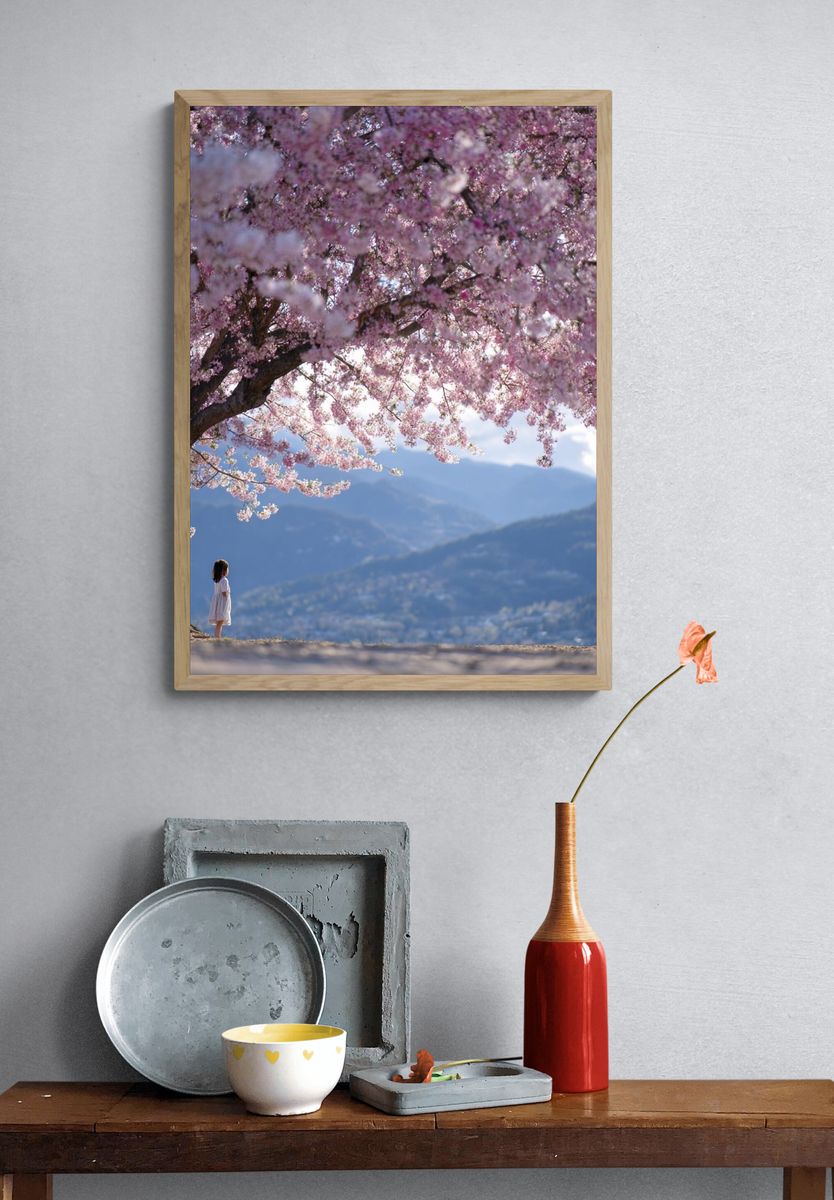 Cherry Blossom Mountain View Photography Poster. — room view 3