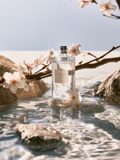 Cherry Blossom Perfume Still Life Poster. poster