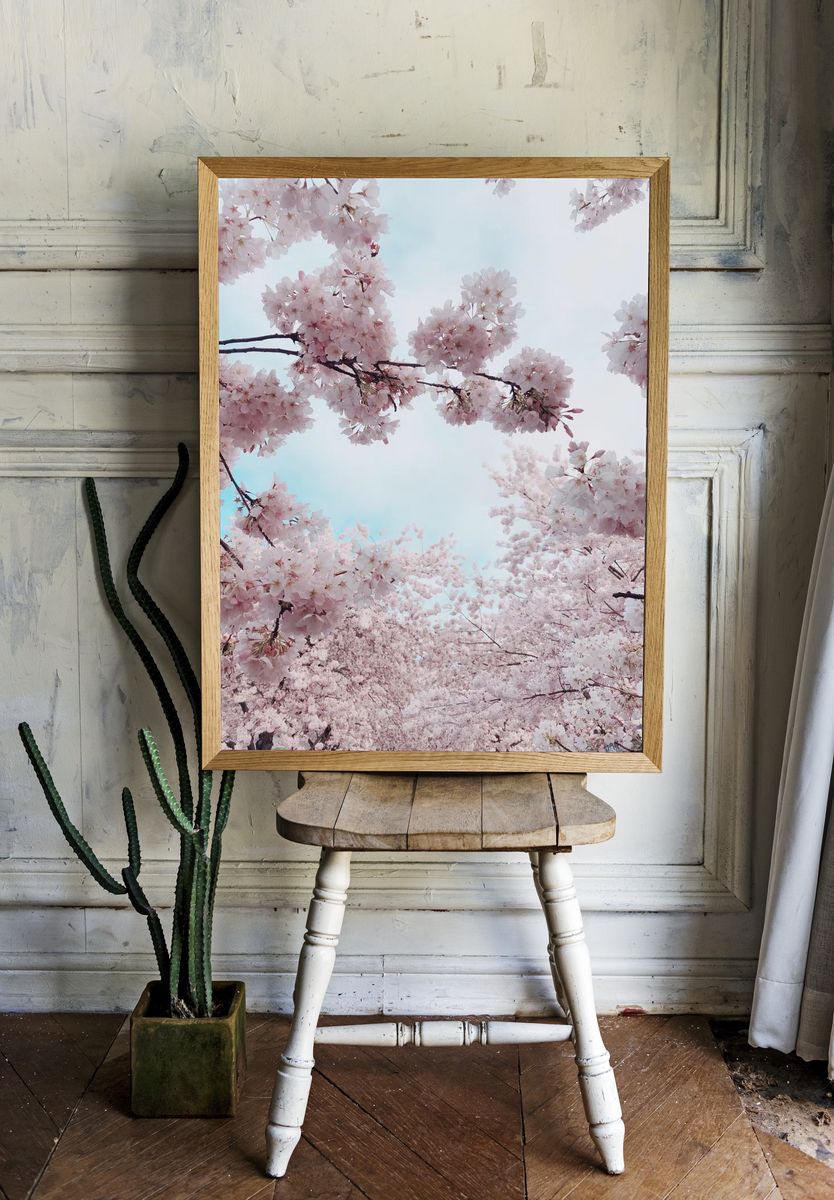 Portland Waterfront Cherry Blossoms, United. room preview