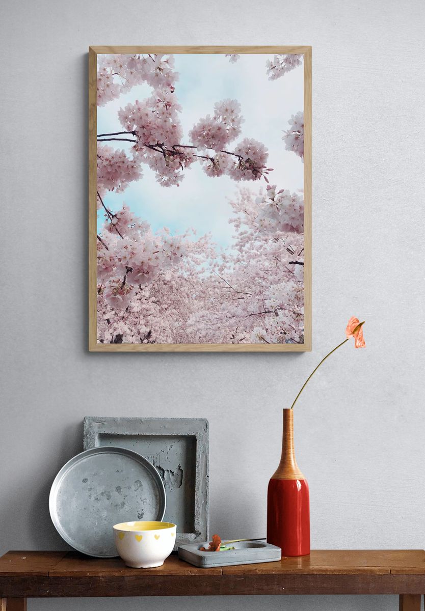 Portland Waterfront Cherry Blossoms, United. — room view 3
