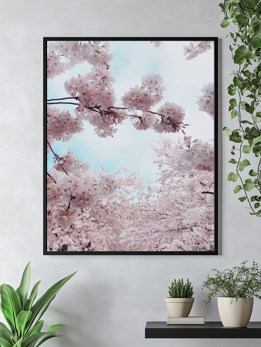 Portland Waterfront Cherry Blossoms, United. — room view 4