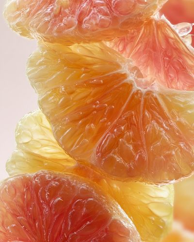 Citrus Slices Abstract Print.
