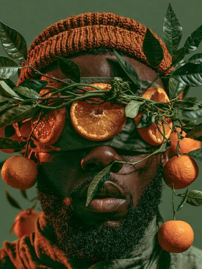 Citrus Portrait Fine-Art Print. poster