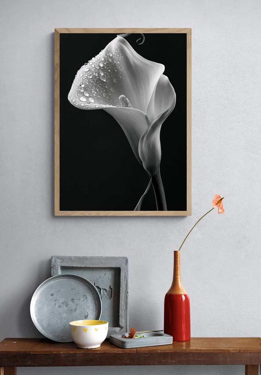 Calla Lily Black-White Poster. — room view 3