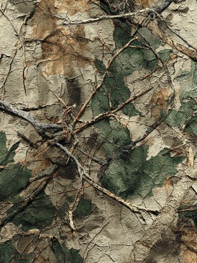 Camouflage Texture Poster