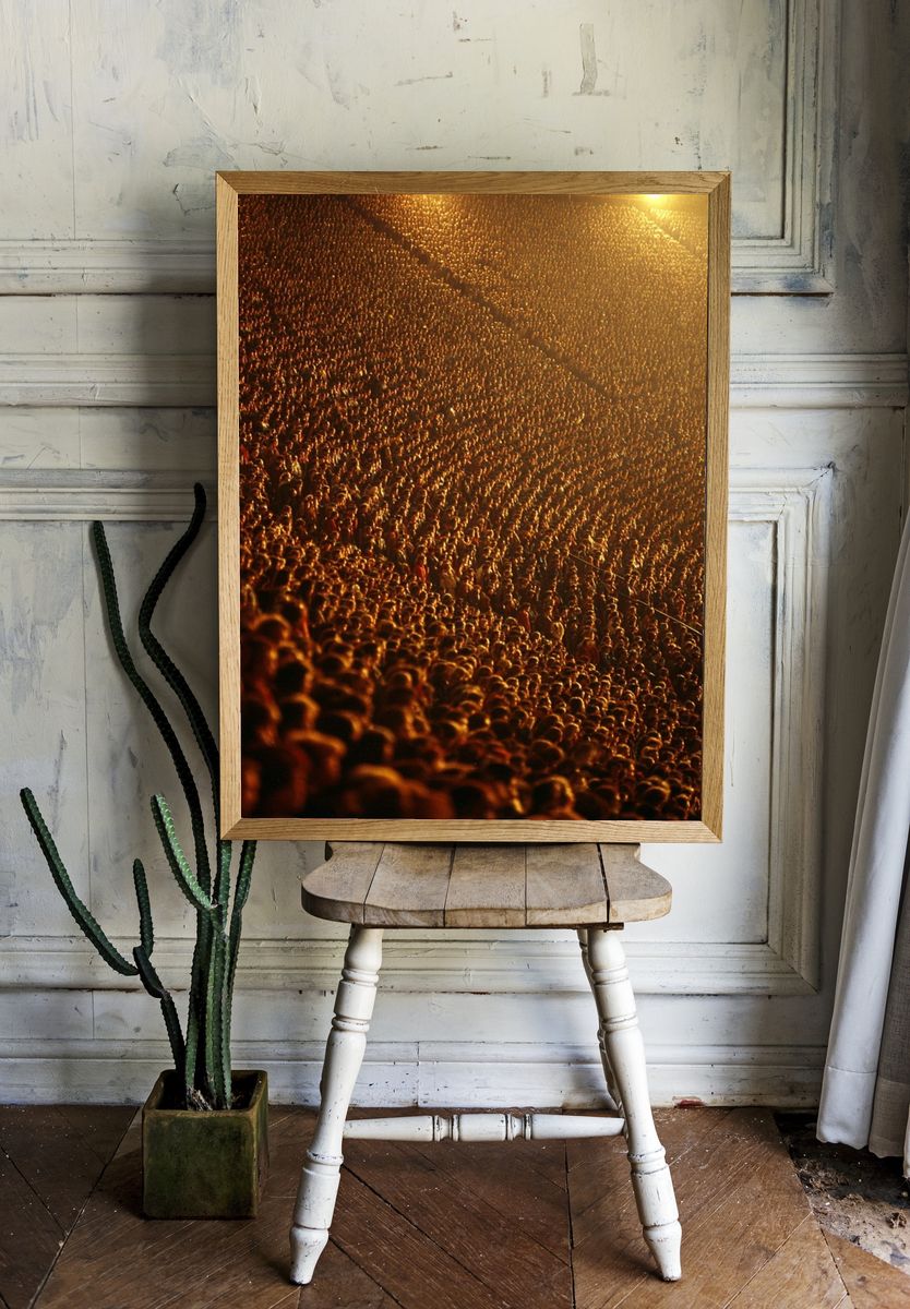 Concert Crowd Night Photography Poster. — room view 1