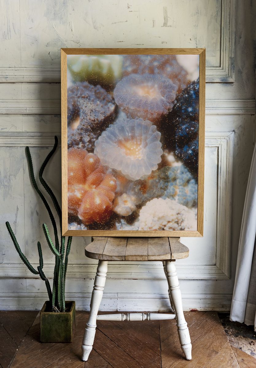 Underwater Coral Reef Poster room preview