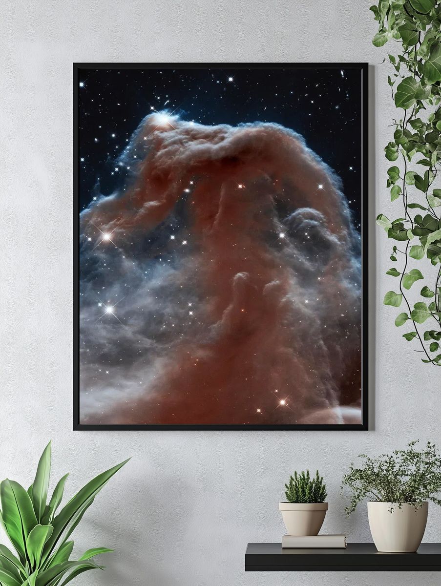 Backlit wisps along Horsehead Nebula's. — room view 4