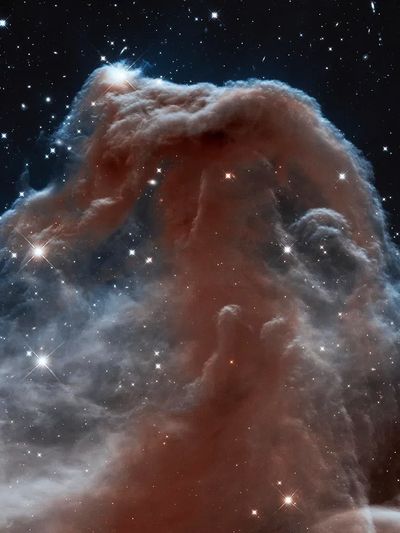 Backlit wisps along Horsehead Nebula's.