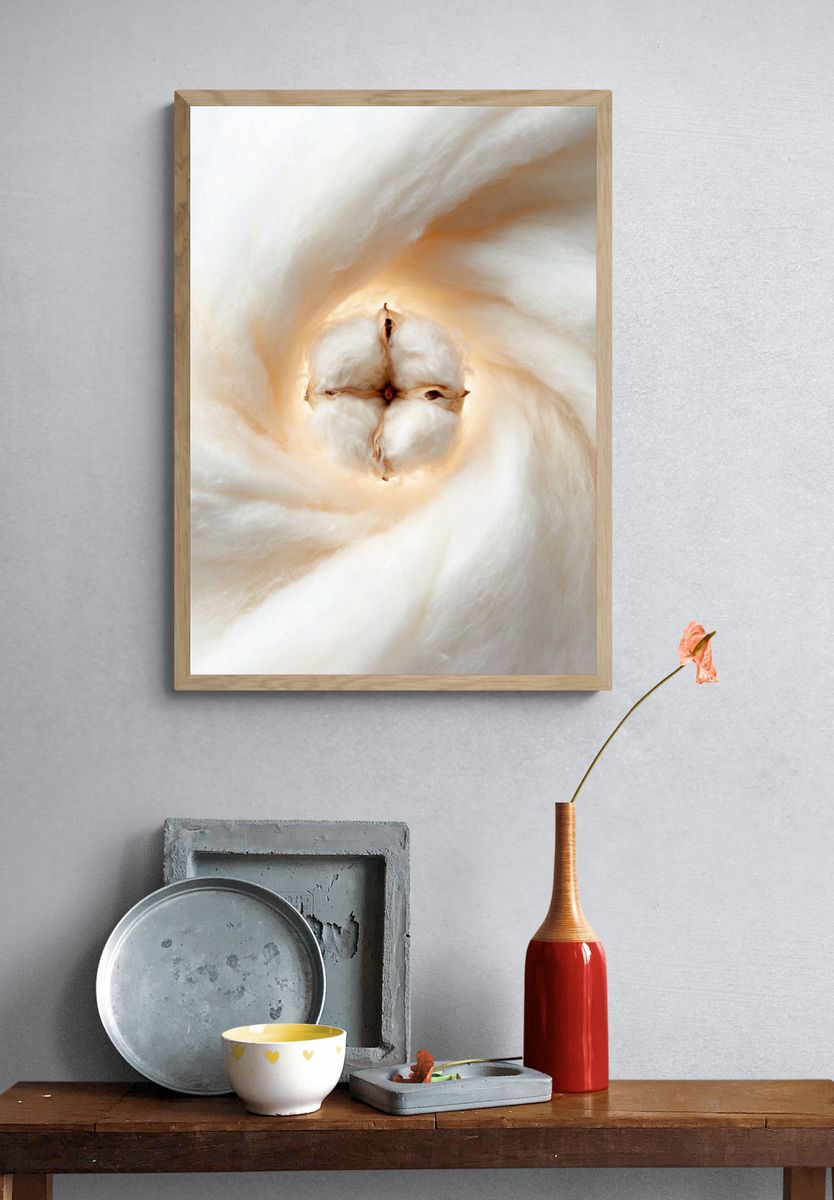 Cotton Blossom — Photography Print. — room view 3