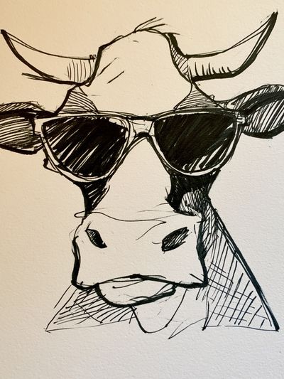 Cool Cow Sketch Poster.