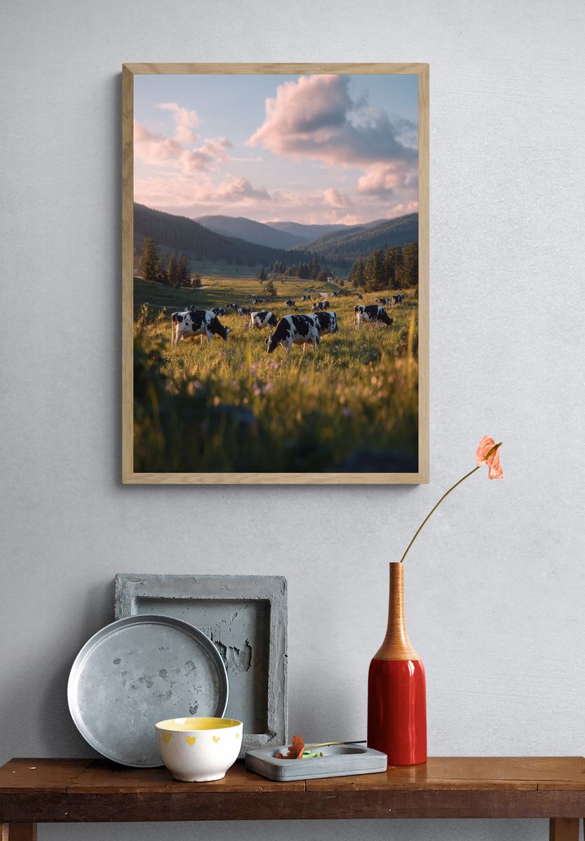 Cows Grazing in Pasture — Nature Print. — room view 3