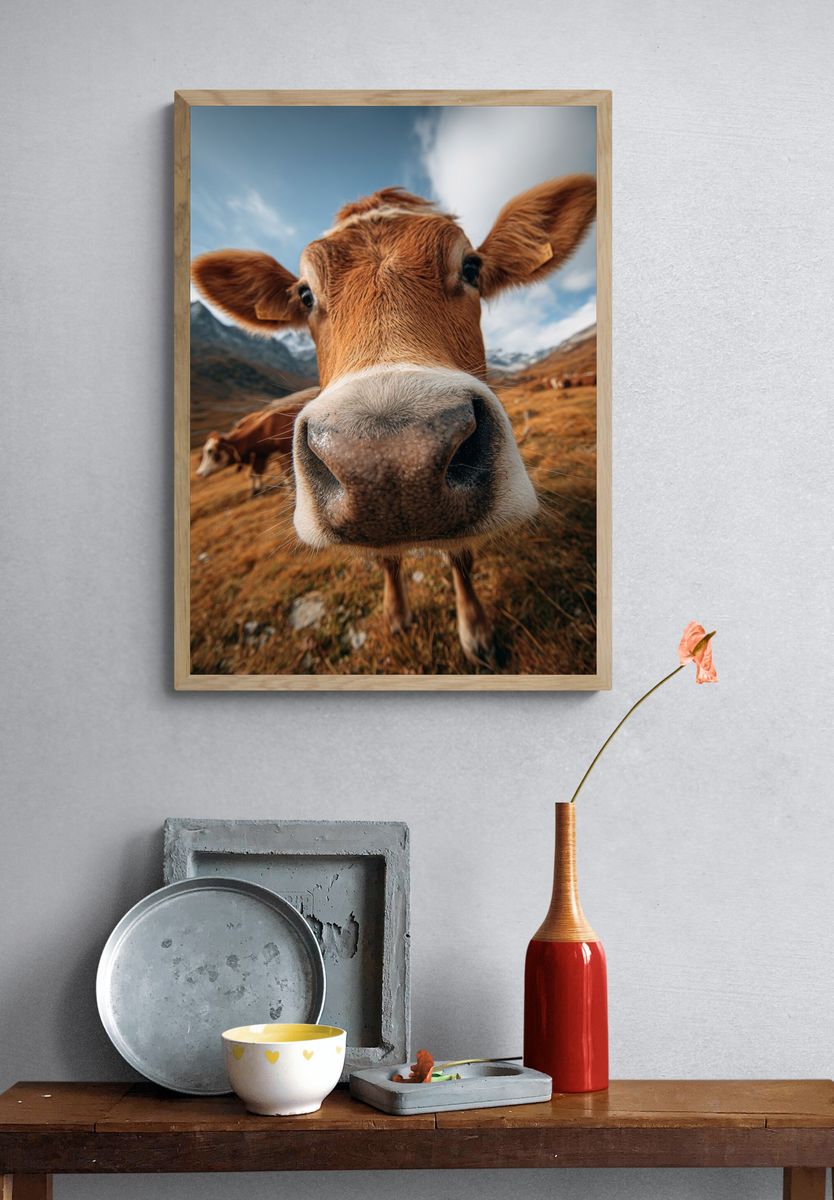 Curious Cow Portrait Poster. — room view 3
