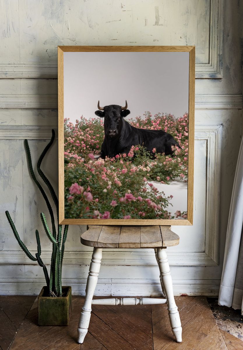 Black Cow in Pink Roses Poster. — room view 1