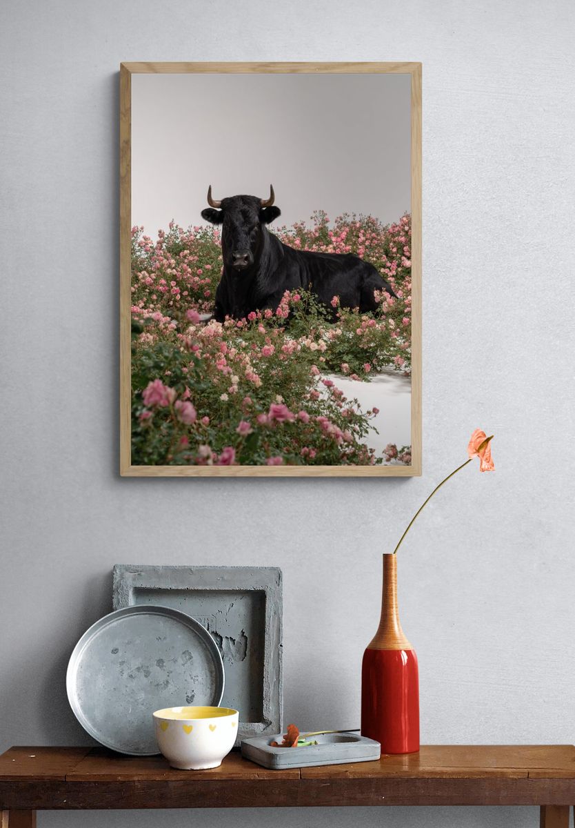 Black Cow in Pink Roses Poster. — room view 3