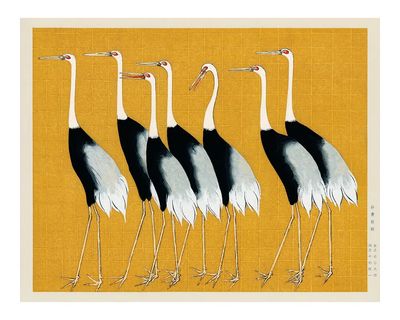 Flock Japanese red-crowned crane vintage.