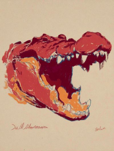 Crocodile Head — Abstract Print. poster print