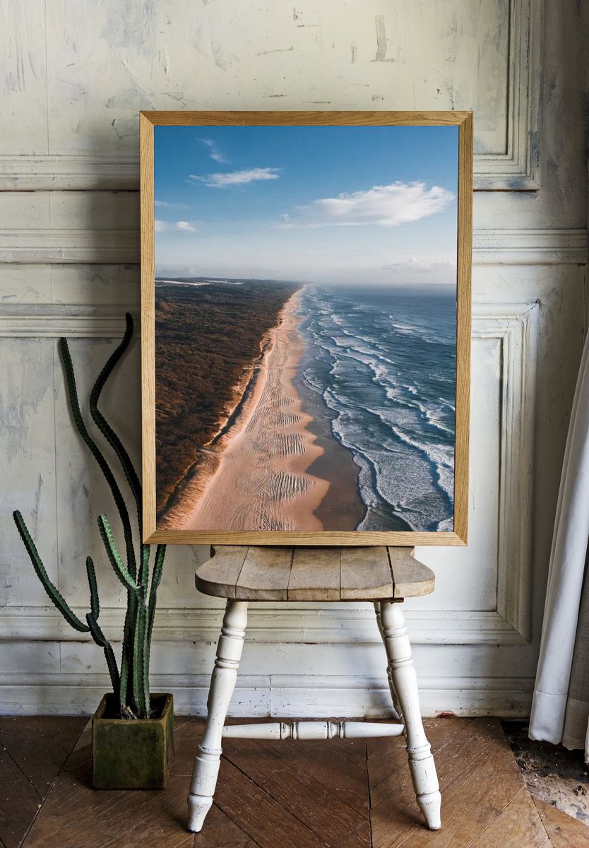 Coastal Serenity — Nature Print. — room view 1