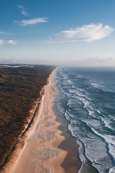 Coastal Serenity — Nature Print.