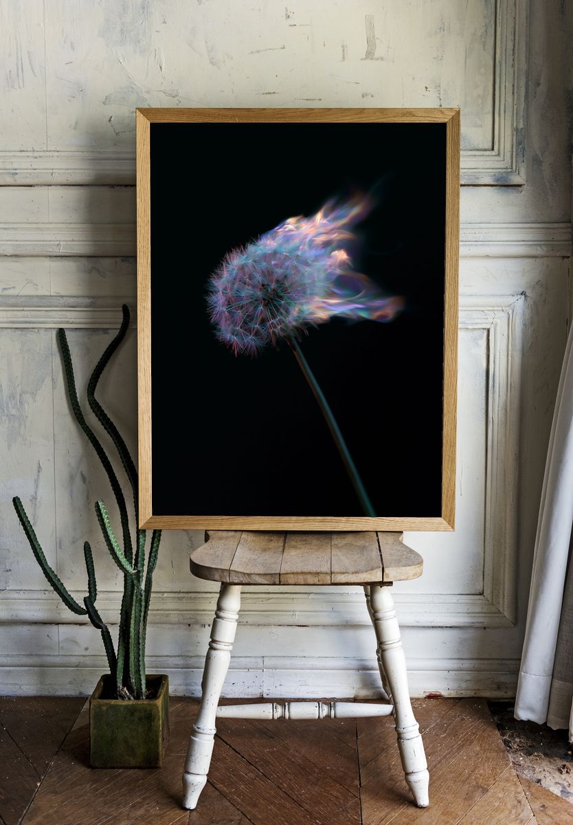 Glowing Dandelion Abstract Poster. — room view 1