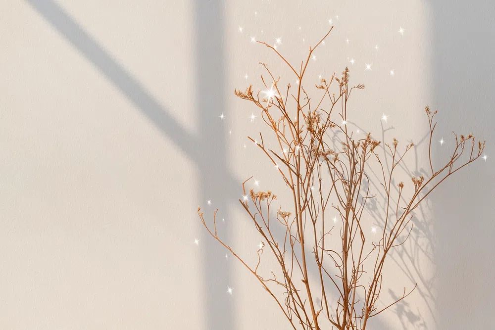 Dried Branches with Sparkles — Minimalist Print. poster detail