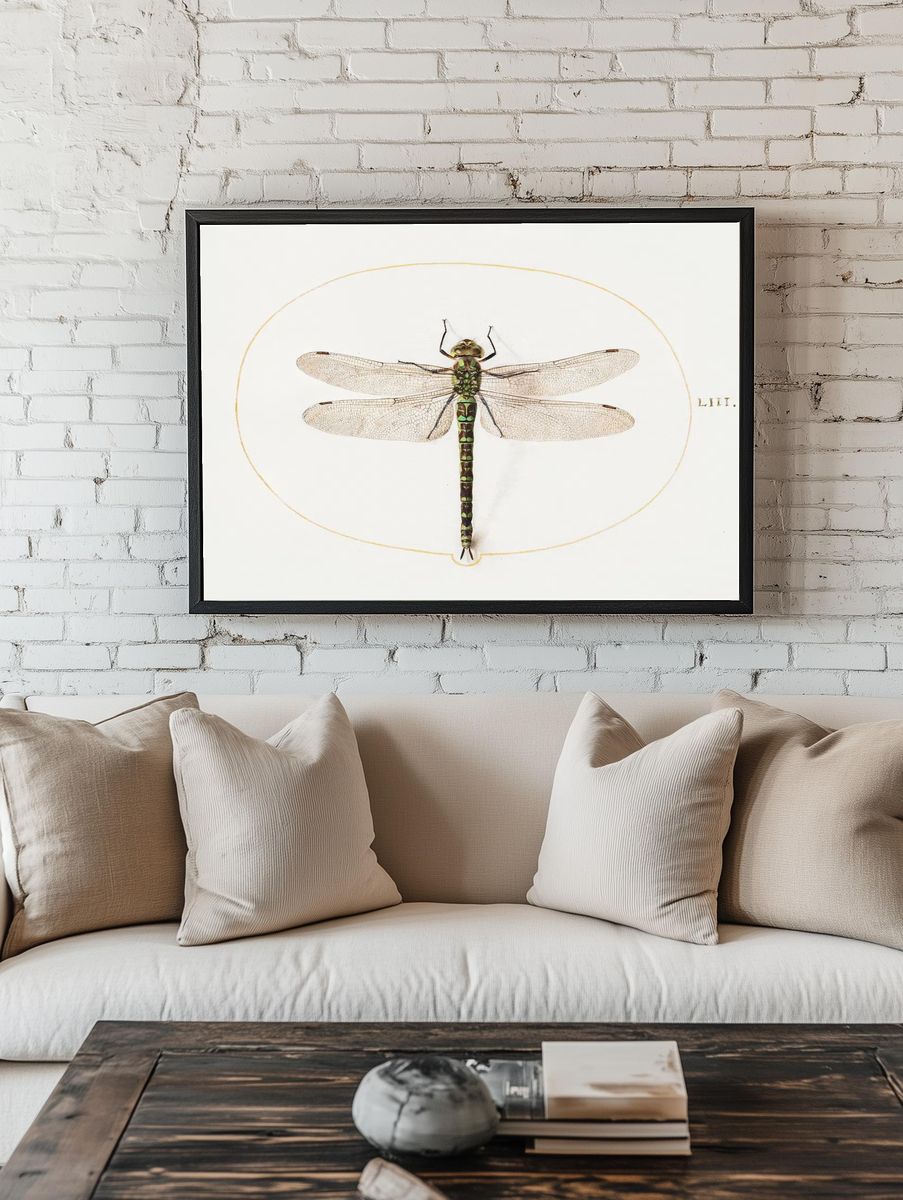 Dragonfly (1575–1580) painting high resolution. — room view 1