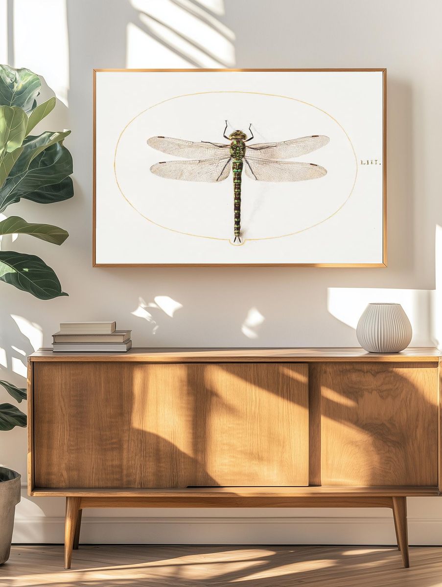 Dragonfly (1575–1580) painting high resolution. — room view 3
