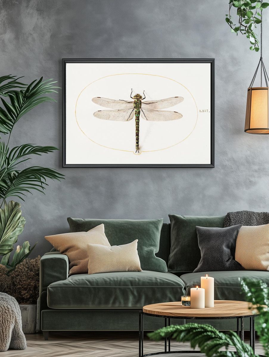Dragonfly (1575–1580) painting high resolution. — room view 4