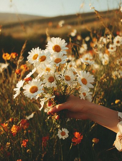 Daisy Bouquet — Nature Print.