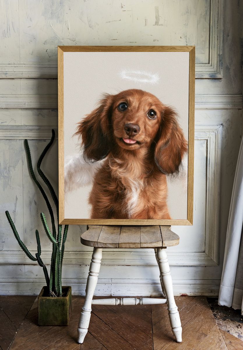 Dachshund Portrait Photography Poster. — room view 1