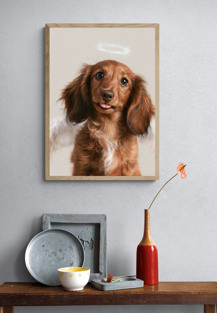 Dachshund Portrait Photography Poster. — room view 3