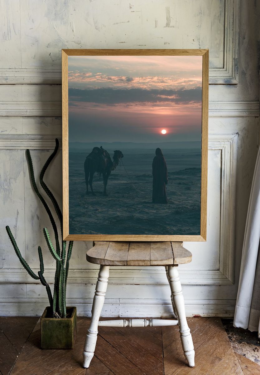 Desert Camel at Sunset Photography Poster. room preview
