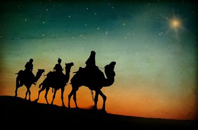 Desert Camel Caravan Sunset Poster