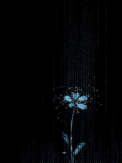Digital Flower — Abstract Print. poster