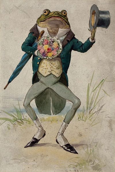 Dapper Frog with Flowers — Vintage Print.
