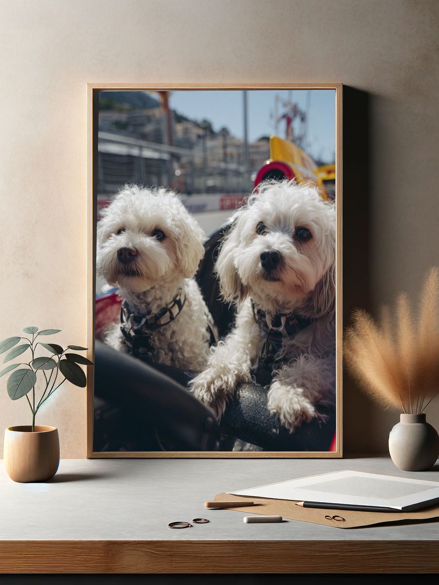 Dogs in Race Car — Animal Photography Poster. — room view 2