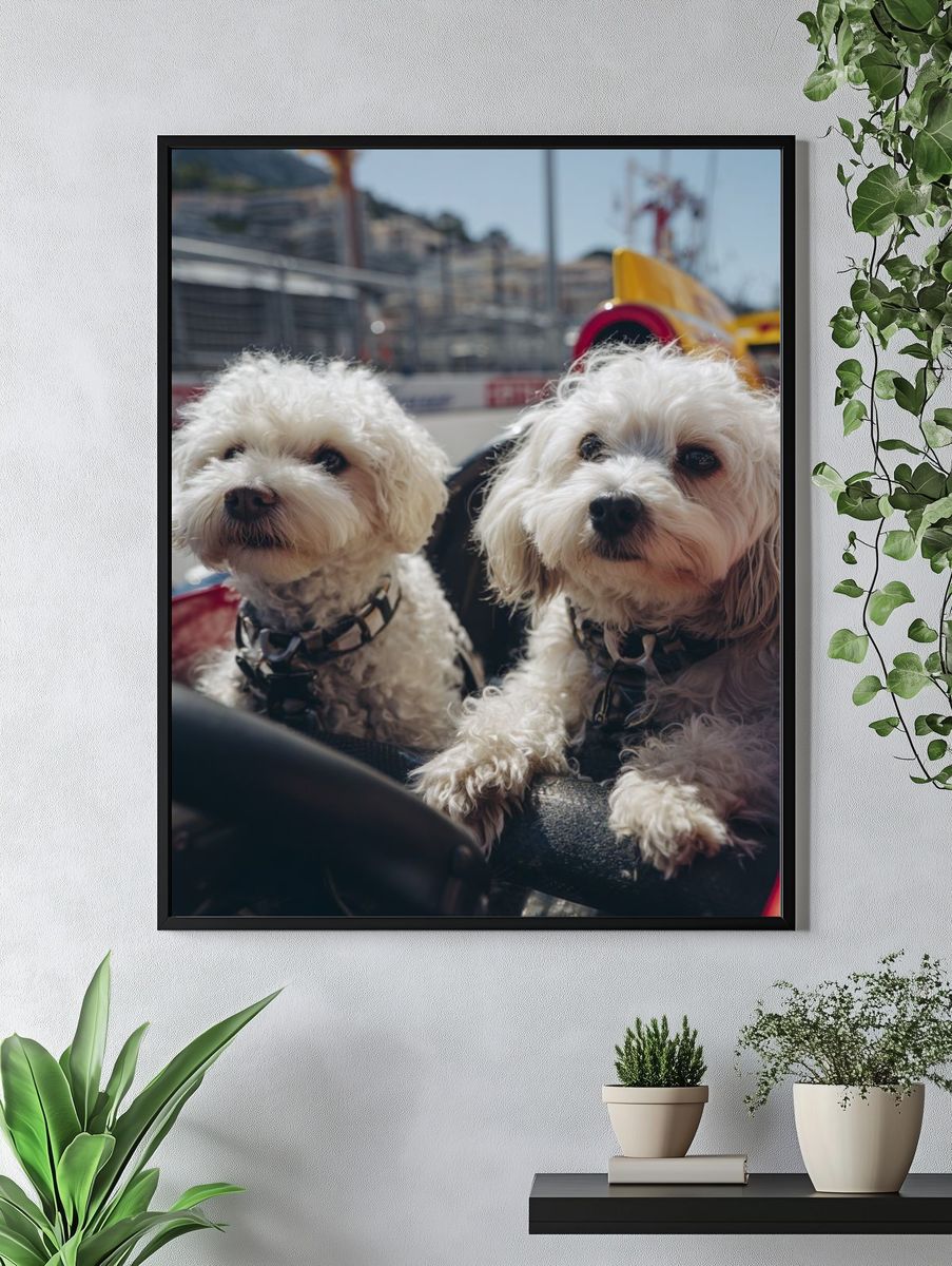 Dogs in Race Car — Animal Photography Poster. — room view 4