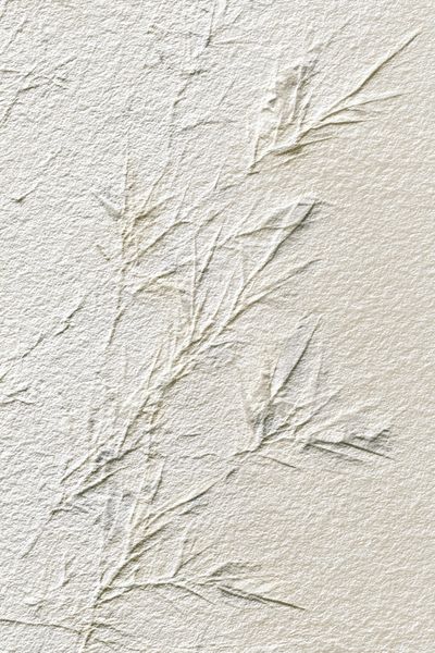 Delicate Bamboo Leaves — Minimalist Print