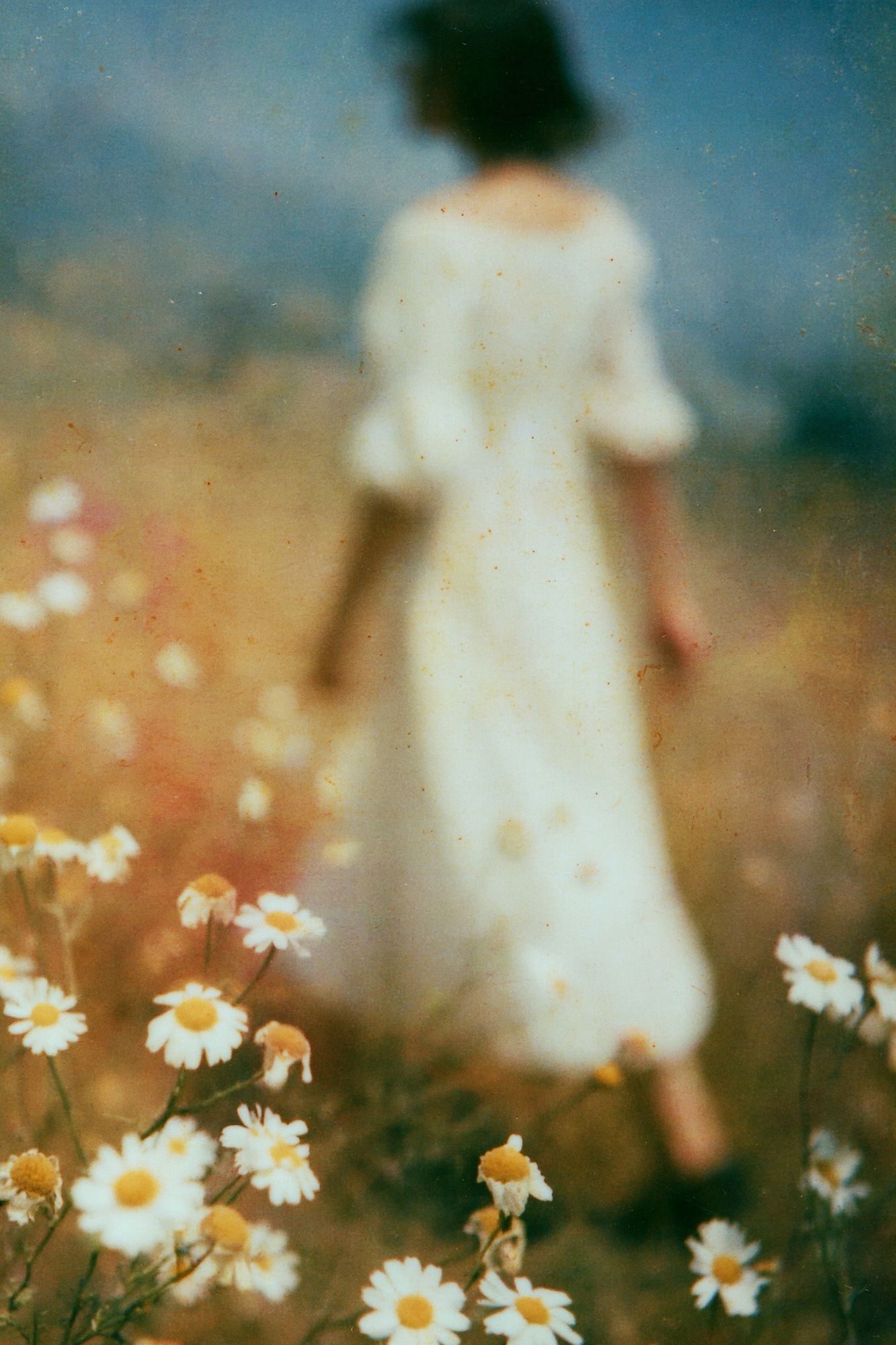 Dreamy Meadow Figure Photography Poster. poster — photography art