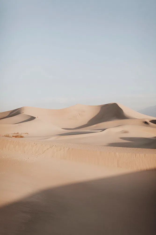 Desert Dunes — Nature Print. poster detail